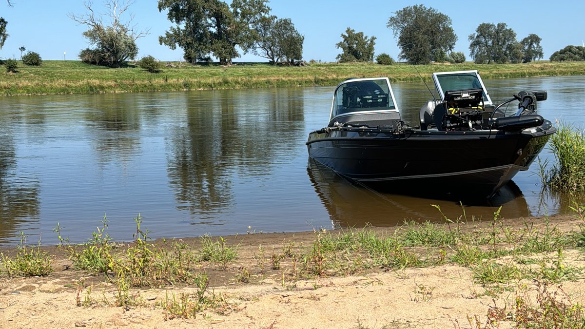 Raubfisch-Trip Elbe
